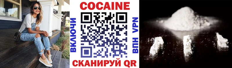 купить закладку  Электрогорск  Cocaine Fish Scale 