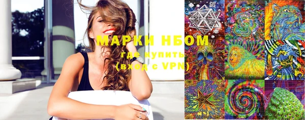 трава Богородицк