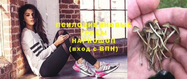 прущий лед Богородск