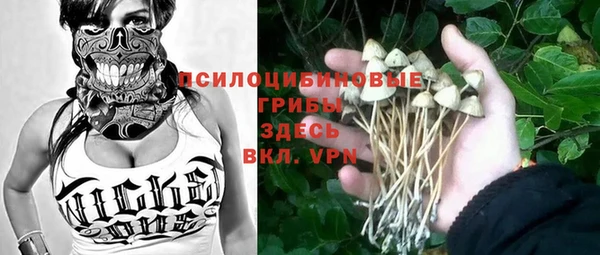 трава Богородицк