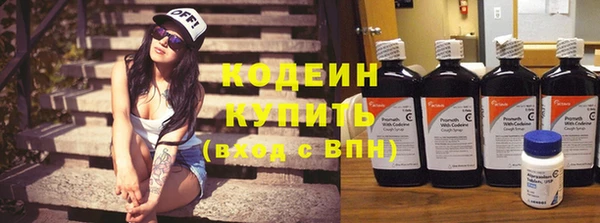трава Богородицк